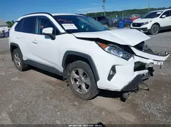 2T3P1RFV3KC025087 2019 TOYOTA RAV 4
