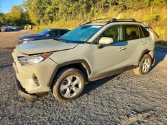 2T3P1RFV3KC028796 2019 TOYOTA RAV 4