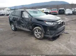 2T3P1RFV3KW005369 2019 TOYOTA RAV 4