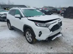 2T3P1RFV3KW024536 2019 TOYOTA RAV 4