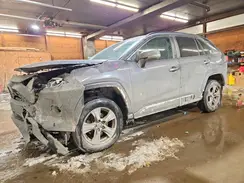 2T3P1RFV3KW046892 2019 TOYOTA RAV 4