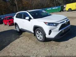 2T3P1RFV3KW073364 2019 TOYOTA RAV 4
