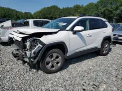 2T3P1RFV3PC328815 2023 TOYOTA RAV 4