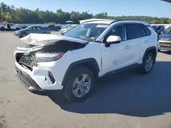 2T3P1RFV3PC352774 2023 TOYOTA RAV 4