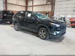 2T3P1RFV3PC385970 2023 TOYOTA RAV 4