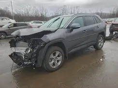 2T3P1RFV3PW333821 2023 TOYOTA RAV 4