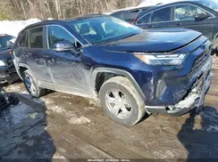 2T3P1RFV3PW371243 2023 TOYOTA RAV 4