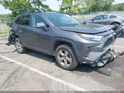 2T3P1RFV3PW377124 2023 TOYOTA RAV 4