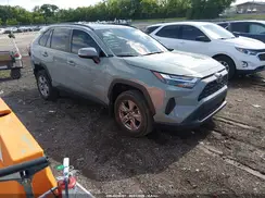 2T3P1RFV3PW379617 2023 TOYOTA RAV 4