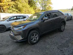 2T3P1RFV3RC394462 2024 TOYOTA RAV 4