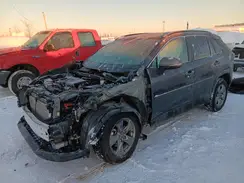 2T3P1RFV3RC397930 2024 TOYOTA RAV 4