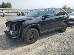 2T3P1RFV3RC446091 2024 TOYOTA RAV 4