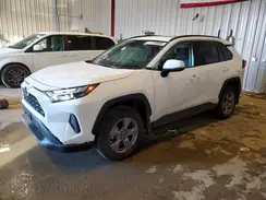 2T3P1RFV3RC466972 2024 TOYOTA RAV 4