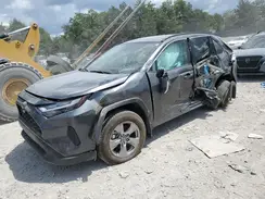 2T3P1RFV3SC497158 2025 TOYOTA RAV 4