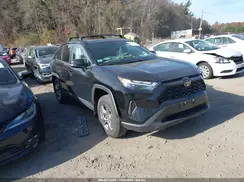 2T3P1RFV3SC513679 2025 TOYOTA RAV 4