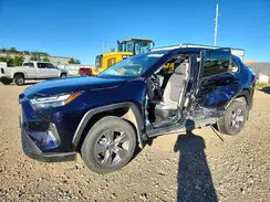 2T3P1RFV3SW495764 2025 TOYOTA RAV 4