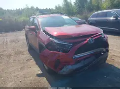2T3P1RFV3SW499541 2025 TOYOTA RAV 4