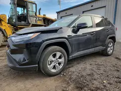 2T3P1RFV3SW556269 2025 TOYOTA RAV 4