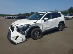 2T3P1RFV3SW630239 2025 TOYOTA RAV 4