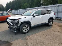 2T3P1RFV4KC012297 2019 TOYOTA RAV 4