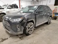 2T3P1RFV4KC029021 2019 TOYOTA RAV 4