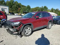 2T3P1RFV4KC049186 2019 TOYOTA RAV 4
