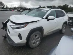 2T3P1RFV4NW317804 2022 TOYOTA RAV 4