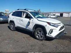 2T3P1RFV4PC358695 2023 TOYOTA RAV 4