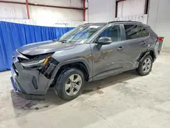 2T3P1RFV4PC389509 2023 TOYOTA RAV 4