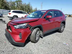 2T3P1RFV4PW332855 2023 TOYOTA RAV 4