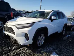 2T3P1RFV4PW339921 2023 TOYOTA RAV 4