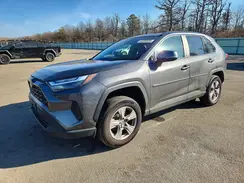2T3P1RFV4PW343564 2023 TOYOTA RAV 4