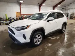2T3P1RFV4PW345699 2023 TOYOTA RAV 4