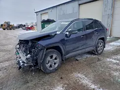 2T3P1RFV4PW363409 2023 TOYOTA RAV 4