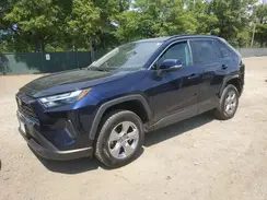 2T3P1RFV4PW365001 2023 TOYOTA RAV 4