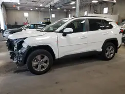2T3P1RFV4PW374037 2023 TOYOTA RAV 4