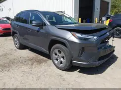 2T3P1RFV4PW400832 2023 TOYOTA RAV 4
