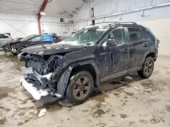 2T3P1RFV4RC395863 2024 TOYOTA RAV 4