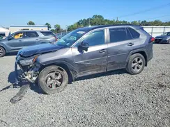 2T3P1RFV4RC397807 2024 TOYOTA RAV 4
