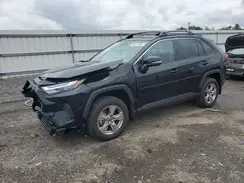 2T3P1RFV4RC429719 2024 TOYOTA RAV 4
