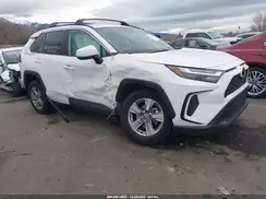 2T3P1RFV4RC459898 2024 TOYOTA RAV 4