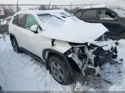2T3P1RFV4RC466379 2024 TOYOTA RAV 4