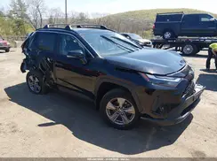 2T3P1RFV4RC479519 2024 TOYOTA RAV 4