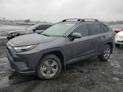 2T3P1RFV4RC481450 2024 TOYOTA RAV 4