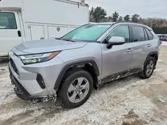 2T3P1RFV4RC489662 2024 TOYOTA RAV 4