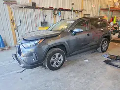 2T3P1RFV4RW419223 2024 TOYOTA RAV 4