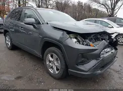 2T3P1RFV4RW446387 2024 TOYOTA RAV 4