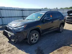 2T3P1RFV4RW465344 2024 TOYOTA RAV 4