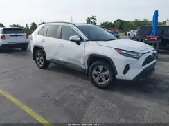 2T3P1RFV4SW534815 2025 TOYOTA RAV 4