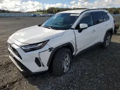 2T3P1RFV4SW553297 2025 TOYOTA RAV 4